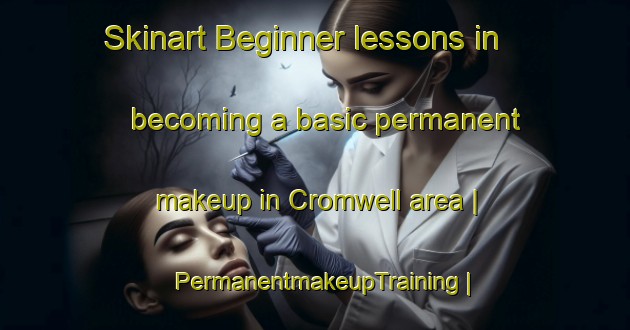 Skinart Beginner lessons in becoming a basic permanent makeup in Cromwell area | PermanentmakeupTraining | PermanentmakeupClasses | SkinartTraining-United States